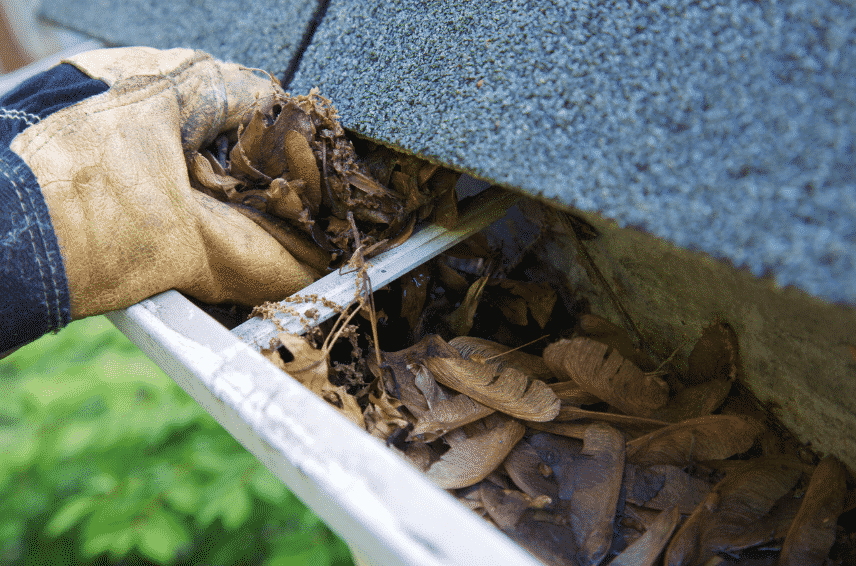 When Is the Best Time to Have Your Gutters Cleaned?